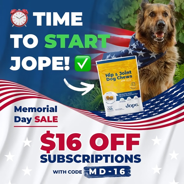 A 1:1 format ad creative featuring a dog wearing an American flag bandana, promoting a $16 discount on pet supplement subscriptions for Memorial Day.